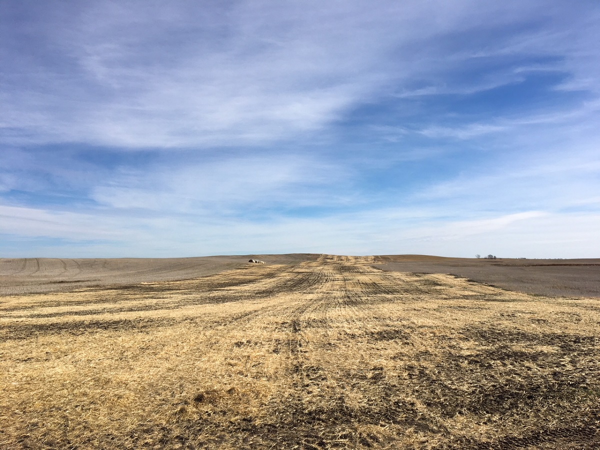 Pipeline right of way with straw spread out